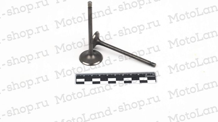 Клапаны ГРМ 156FMI (CB125D) (компл=2шт)