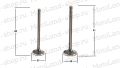 Клапаны ГРМ 156FMI (CB125D) (компл=2шт) Клапаны ГРМ 156FMI (CB125D) (компл=2шт)