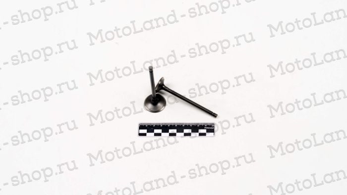 Клапаны ГРМ 161FMJ (CB150D) 169FML (CB200) (компл=2шт)