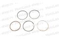 Кольца поршневые 139QMB 50/80см3 d=47mm 80см3 X-TECH Кольца поршневые 139QMB 50/80см3 d=47mm 80см3 X-TECH