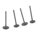 Клапаны ГРМ (компл.=2шт) 450см3 194MQ (NC450) X-TECH Клапаны ГРМ (компл.=2шт) 450см3 194MQ (NC450) X-TECH